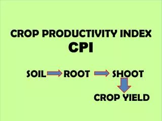 CROP PRODUCTIVITY INDEX CPI SOIL ROOT SHOOT CROP YIELD