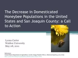 The Decrease in Domesticated Honeybee Populations in the United States and San Joaquin County: a Call to Action