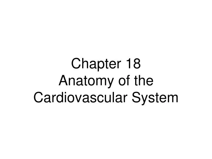 chapter 18 anatomy of the cardiovascular system