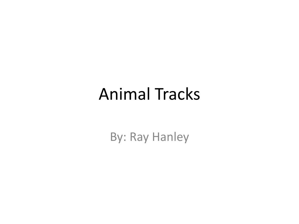 PPT - Animal Tracks PowerPoint Presentation, free download - ID:1746334