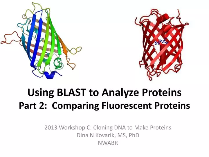 using blast to analyze proteins part 2 comparing fluorescent proteins