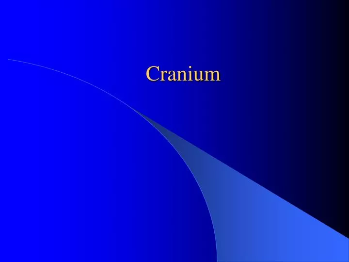 cranium