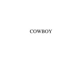 cowboy