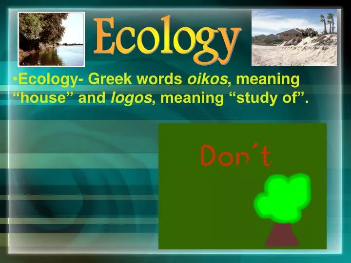 ecology greek words oikos meaning house and logos meaning study of