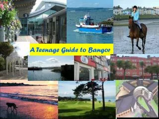 A Teenage Guide to Bangor