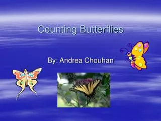 Counting Butterflies