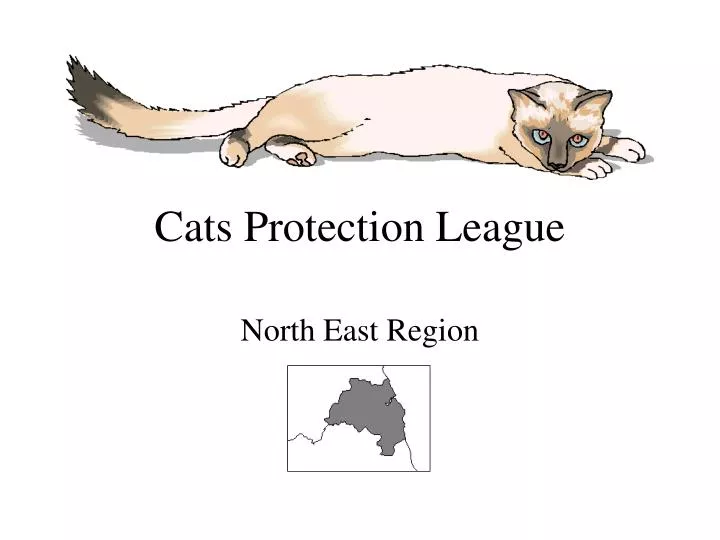 cats protection league