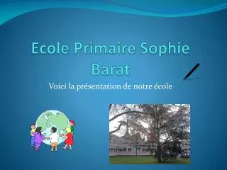 ecole primaire sophie barat