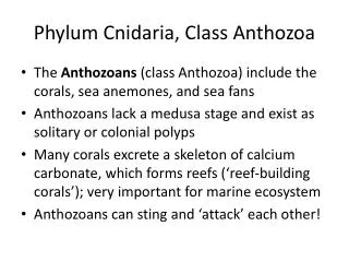Phylum Cnidaria, Class Anthozoa