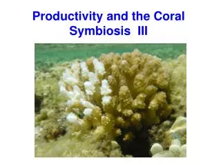 Productivity and the Coral Symbiosis III