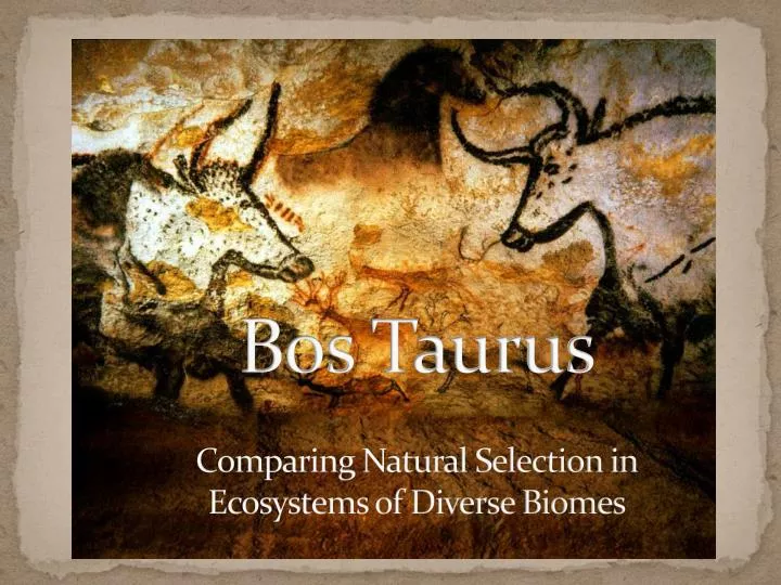 bos taurus comparing natural selection in ecosystems of diverse biomes