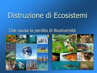 distruzione di ecosistemi