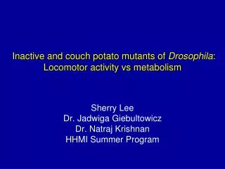  Inactive and couch potato mutants of Drosophila : Locomotor activity vs metabolism