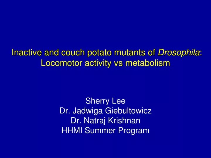 inactive and couch potato mutants of drosophila locomotor activity vs metabolism