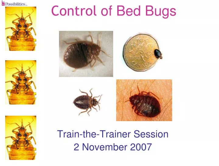 control of bed bugs
