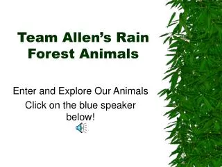 Team Allen’s Rain Forest Animals