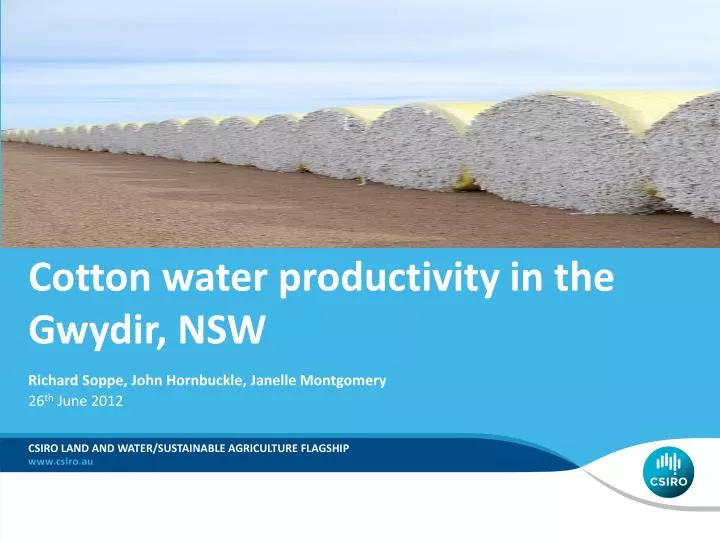 cotton water productivity in the gwydir nsw