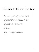Understanding Portfolio Diversification and the Efficient Frontier in Finance - slide 1