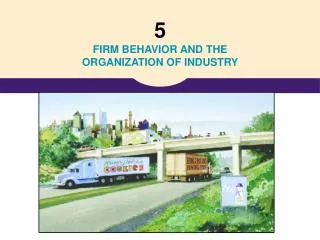 5 FIRM BEHAVIOR AND THE ORGANIZATION OF INDUSTRY