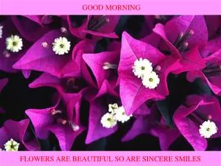 FLOWERS ARE BEAUTIFUL SO ARE SINCERE SMILES