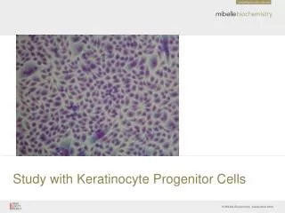 Study with Keratinocyte Progenitor Cells