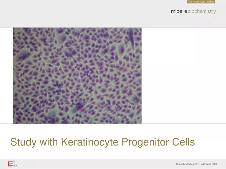 study with keratinocyte progenitor cells