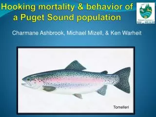 Hooking mortality &amp; behavior of a Puget Sound population