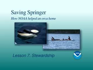 Saving Springer How NOAA helped an orca home