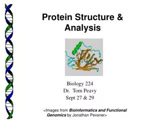 Biology 224 Dr. Tom Peavy Sept 27 &amp; 29