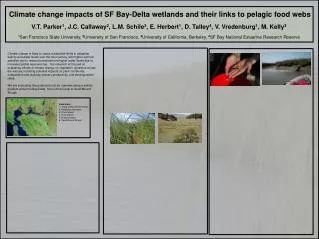 Climate change impacts of SF Bay-Delta wetlands and their links to pelagic food webs