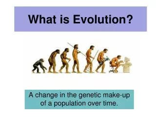 What is Evolution?