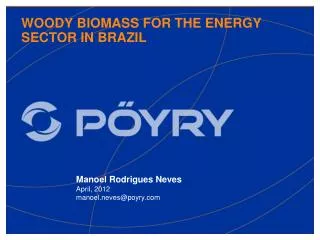 WOODY BIOMASS FOR THE ENERGY SECTOR IN BRAZIL