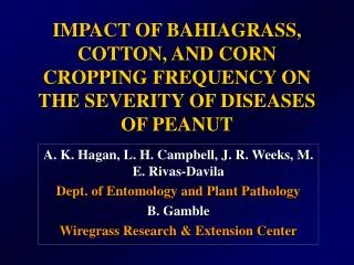 IMPACT OF BAHIAGRASS, COTTON, AND CORN CROPPING FREQUENCY ON THE SEVERITY OF DISEASES OF PEANUT