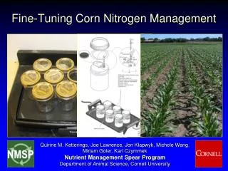 Fine-Tuning Corn Nitrogen Management