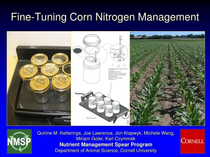 fine tuning corn nitrogen management