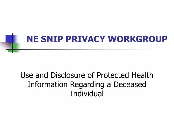 ne snip privacy workgroup