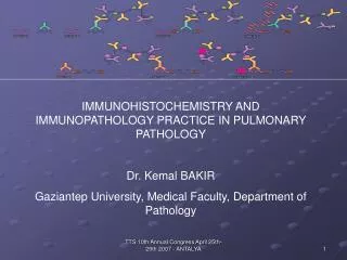 IMMUNOHISTOCHEMISTRY AND IMMUNOPATHOLOGY PRACTICE IN PULMONARY PATHOLOGY Dr. Kemal BAKIR Gaziantep University, Medical F