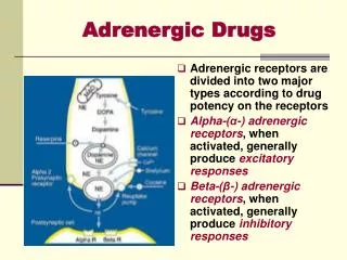 adrenergic drugs