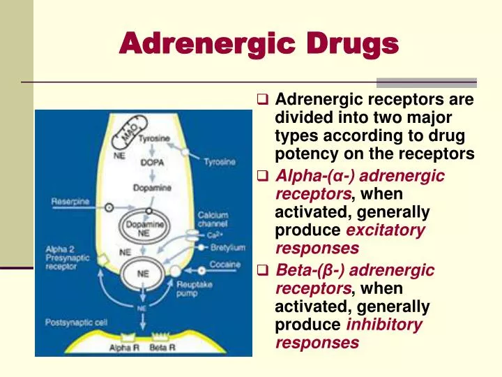 adrenergic drugs