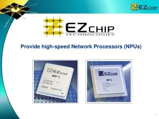 Provide high-speed Network Processors (NPUs)