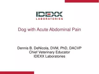 Dog with Acute Abdominal Pain