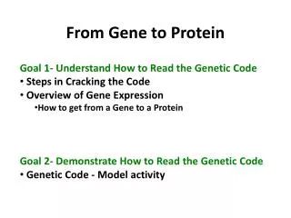 From Gene to Protein