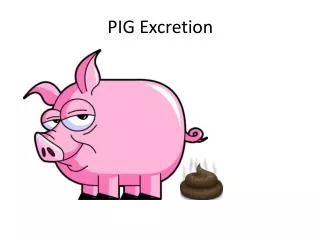 PIG Excretion