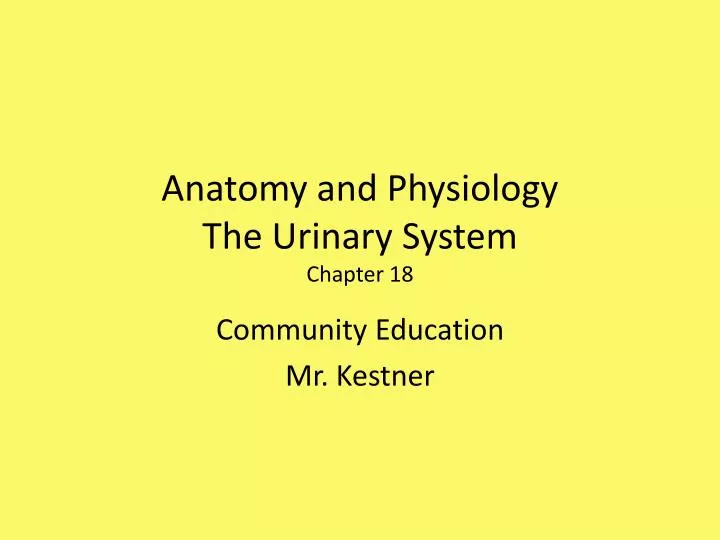 anatomy and physiology the urinary system chapter 18