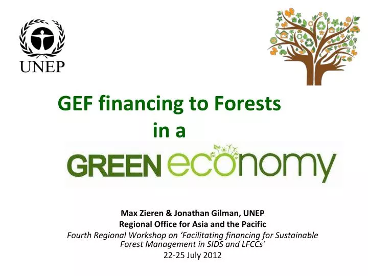gef financing to forests in a