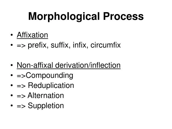 morphological process