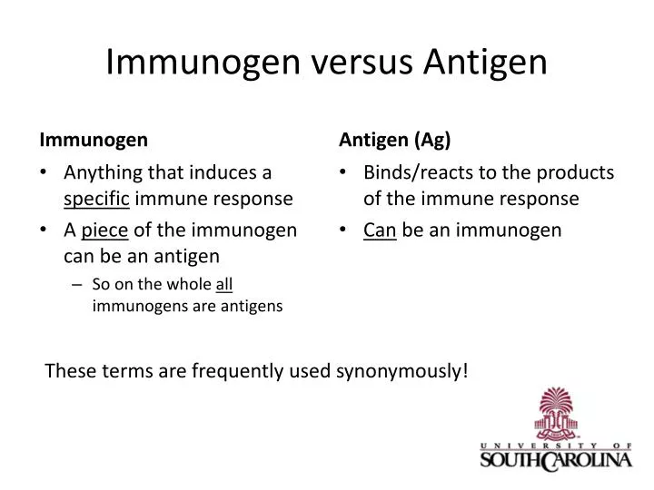 immunogen versus antigen