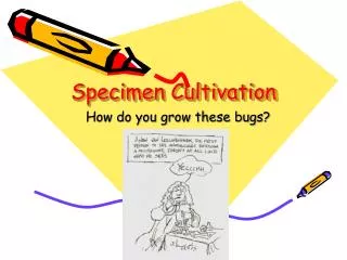 Specimen Cultivation