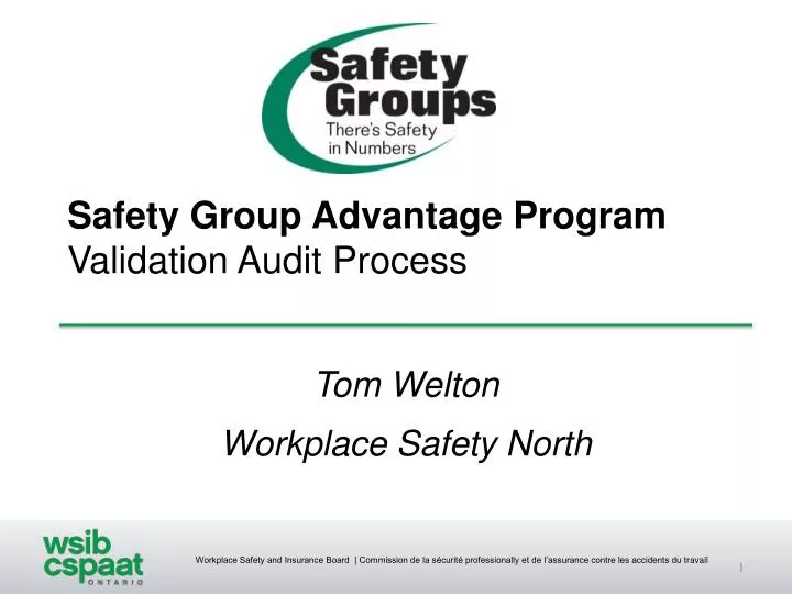 safety group advantage program validation audit process