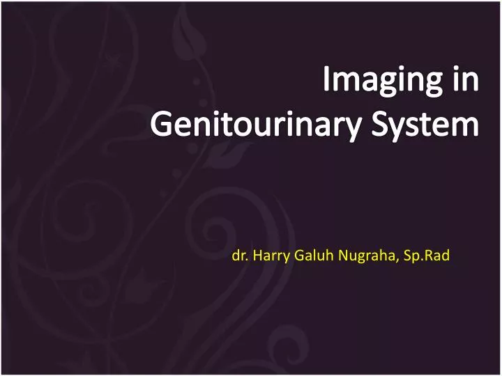 i maging in genitourinary s ystem